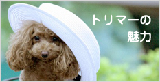 トリマーの魅力
