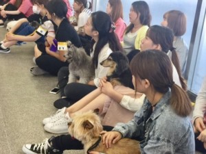 勉強する犬たち